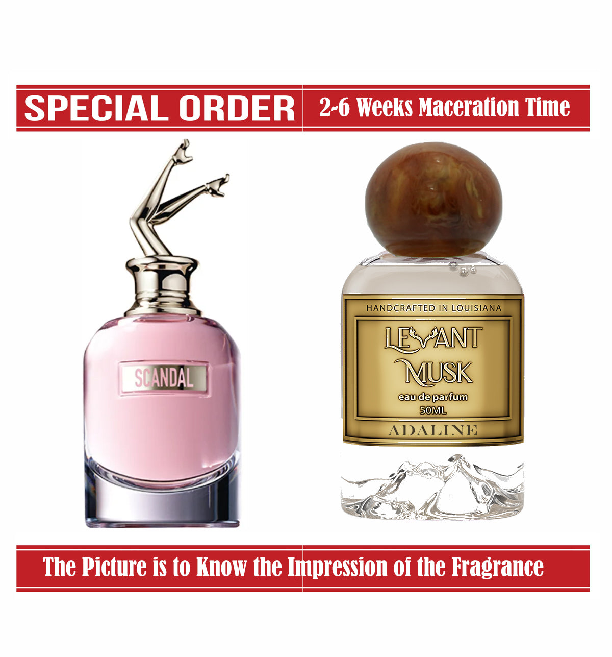 ADALINE | SCANDAL A PARIS of JEAN PAUL GAULTIER IMPRESSION | 50ml / 1.7 Oz |