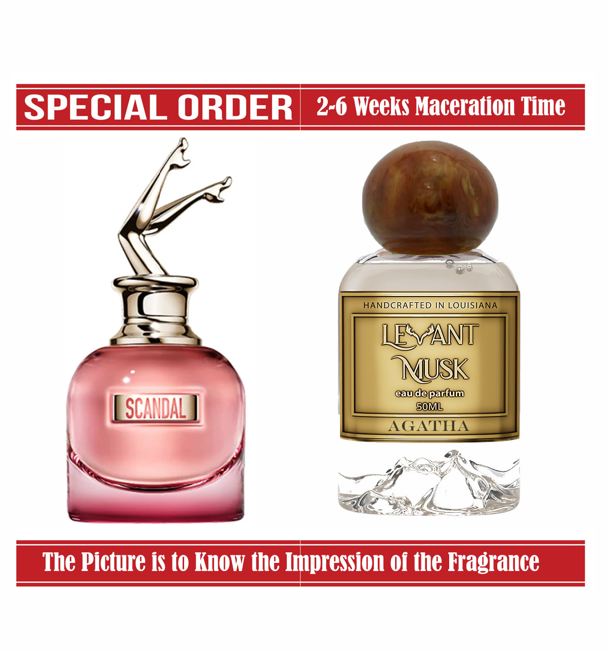 AGATHA | SCANDAL BY NIGHT of JEAN PAUL GAULTIER IMPRESSION | 50ml / 1.7 Oz |