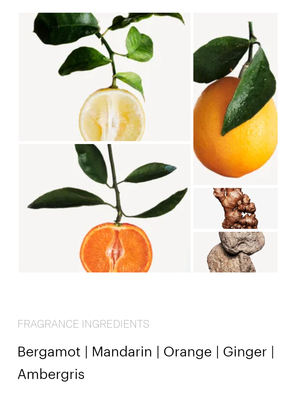 Aser Afternoon Swim Impression of Louis Vuitton