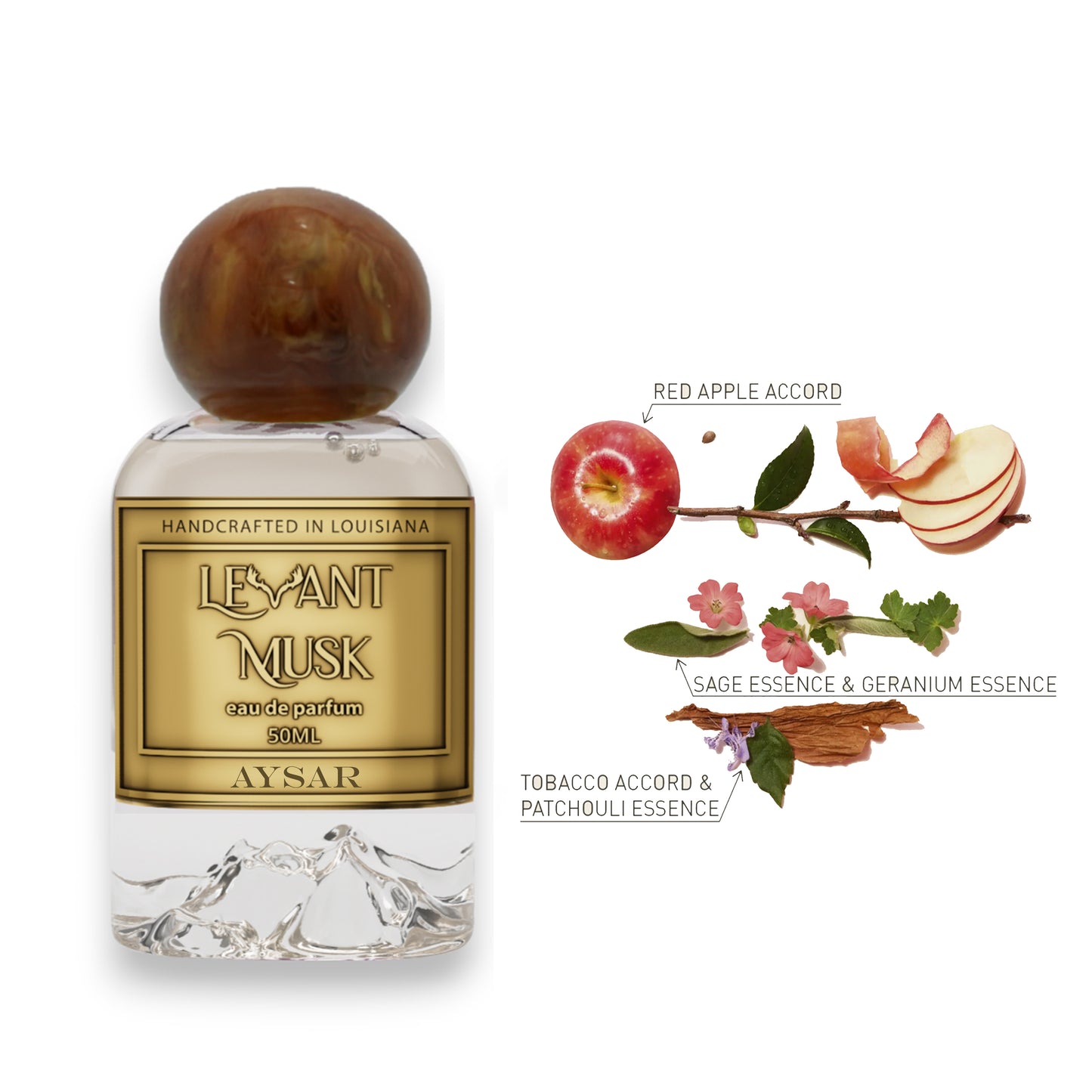 Aysar | Uomo Born In Roma Coral Fantasy of Valentino Impression | 50ml / 1.7 Oz |