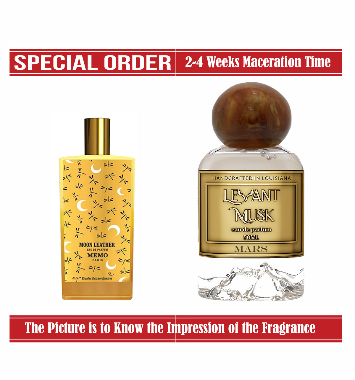 MARS | MOON LEATHER of MEMO PARIS IMPRESSION | 50ml / 1.7 Oz |