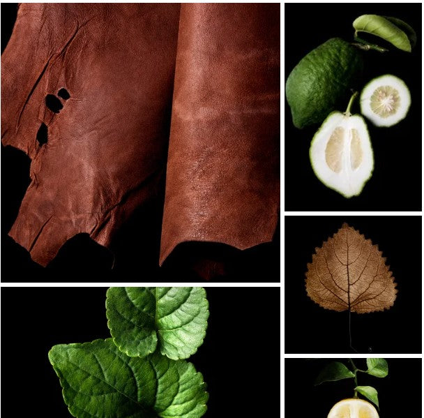 Oscar Sicilian Leather of Memo Paris Impression