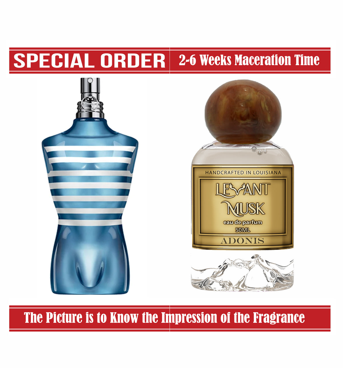 ADONIS | LE MALE ON BOARD of JEAN PAUL GAULTIER IMPRESSION | 50ml / 1.7 Oz |