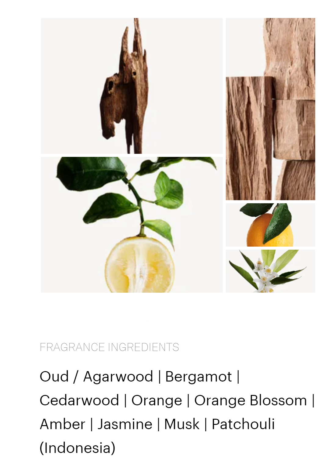 Gada | Oud & Bergamot of Jo Malone London Impression | 50ml / 1.7 Oz |
