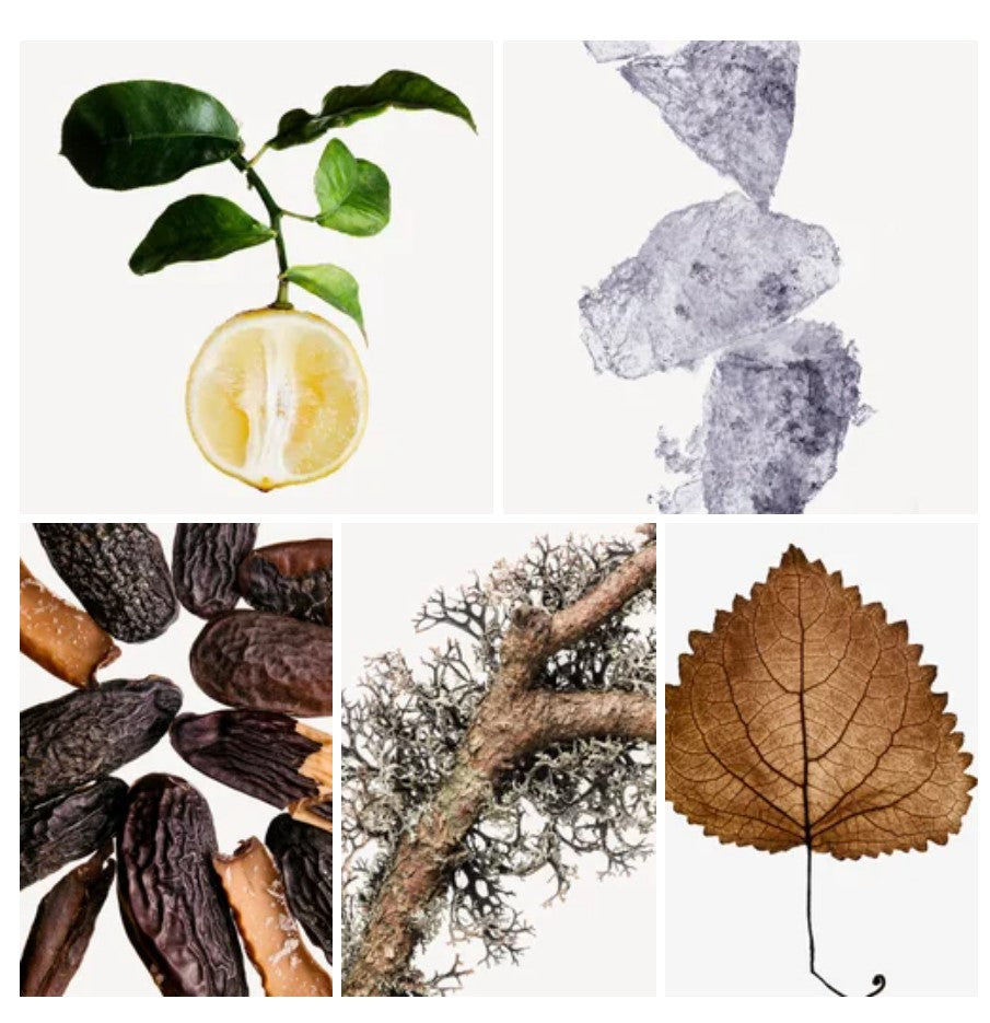 Jehan Cosmic Cloud Impression of Louis Vuitton