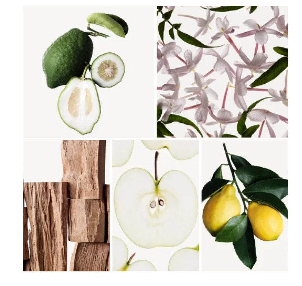 Omsia Light Blue for Her of D&G Impression