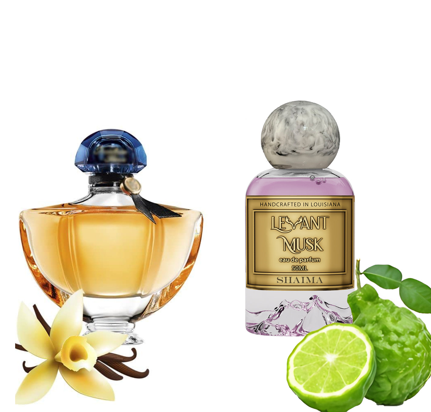 Shaima | Shalimar of Guerlain Impression | 50ml / 1.7 Oz |