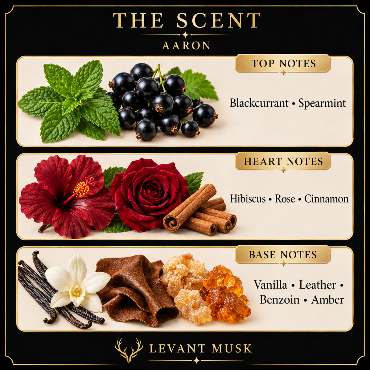 AARON by Levant Musk — notes card