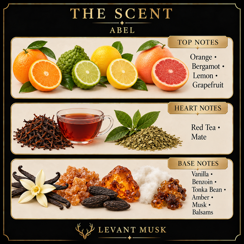 ABEL by Levant Musk — 02 notes card corrected