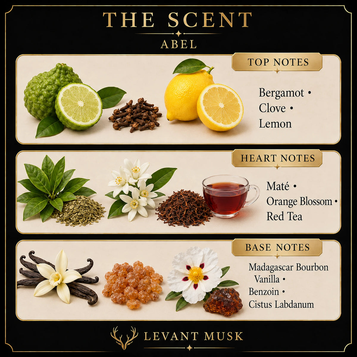 A branded scent profile graphic for Levant Musk's eau de parfum Abel. The design features a black background with gold lettering and is divided into three horizontal sections labeled 'Top Notes', 'Heart Notes', and 'Base Notes', each showing illustrative ingredients (bergamot, clove, lemon, maté, orange blossom, red tea, vanilla, and citrus) with their corresponding scents listed.