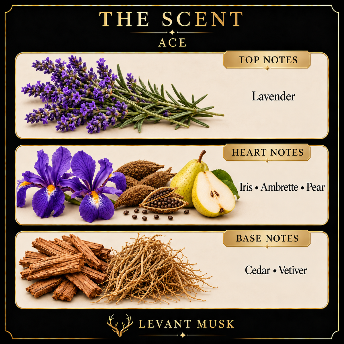 ACE by Levant Musk corrected notes card