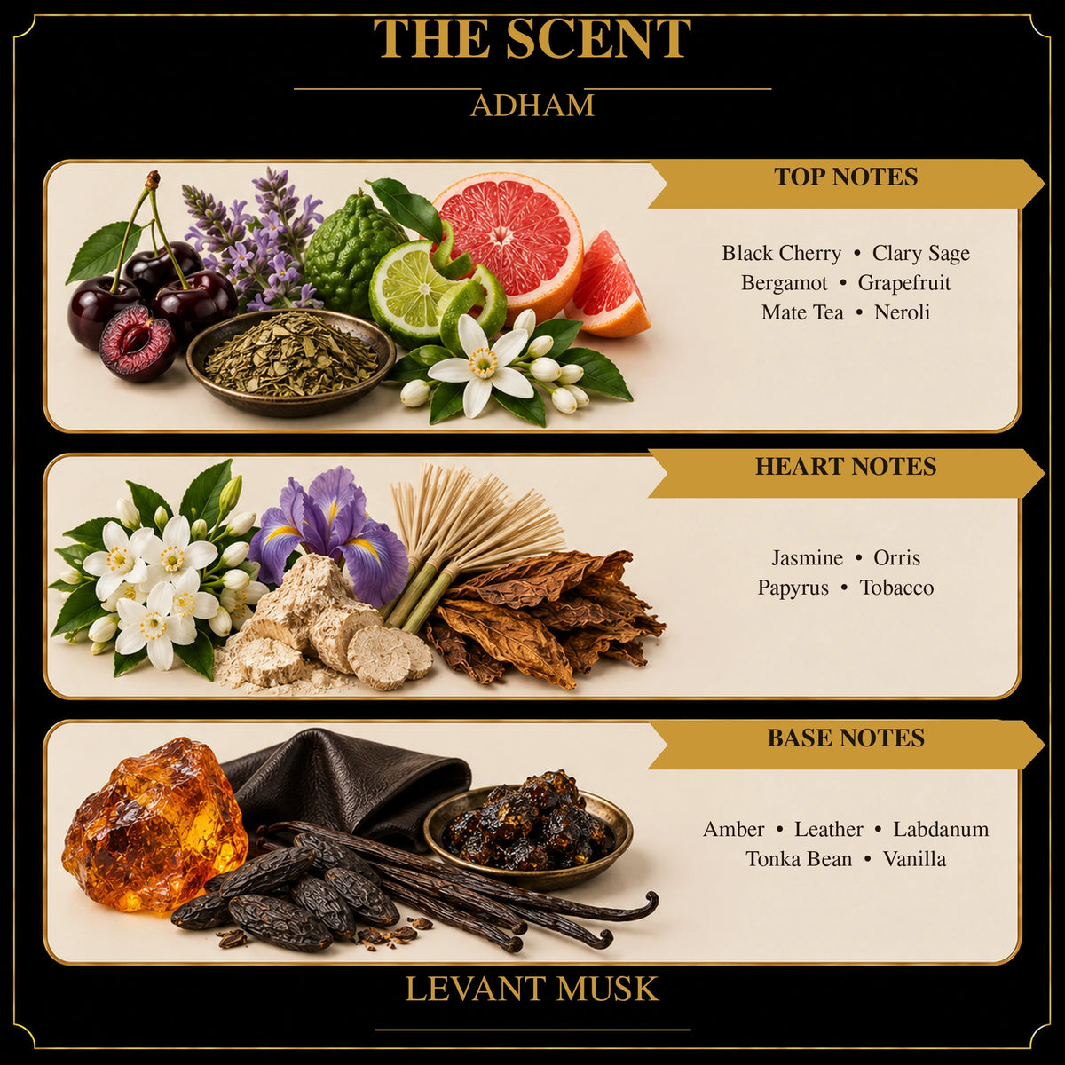 ADHAM notes: top—black cherry, clary sage, bergamot, grapefruit, mate tea, neroli; heart—jasmine, orris, papyrus, tobacco; base—amber, leather, labdanum, tonka bean, vanilla.