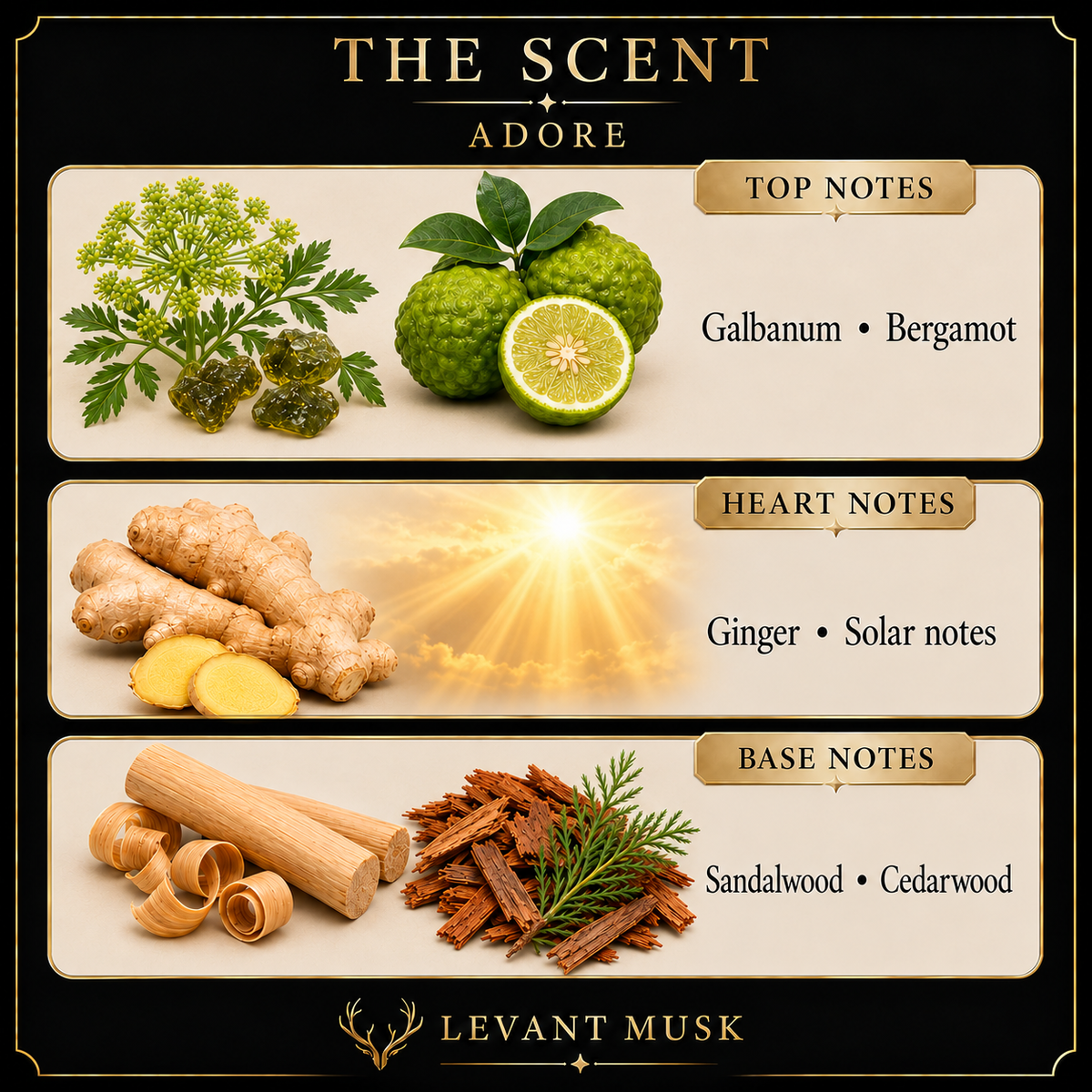 ADORE by Levant Musk notes card with galbanum and bergamot, ginger and solar notes, sandalwood and cedarwood.