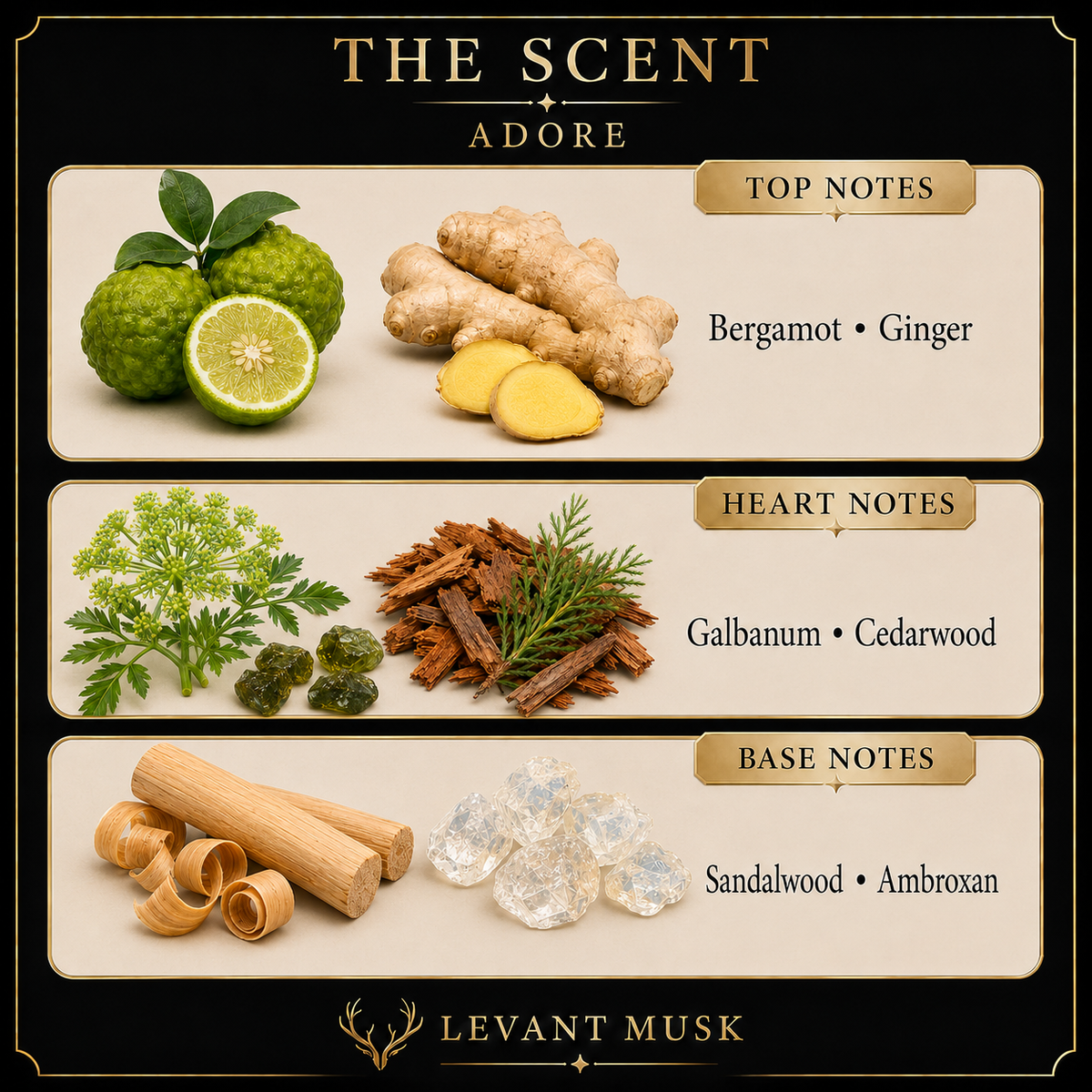 A branded scent profile graphic for Eau de Parfum "Adore' by Levant Musk, showing ingredient imagery and notes for top, heart, and base notes on a black and beige layout.