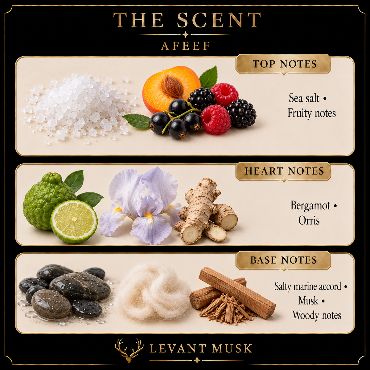 AFEEF scent notes. Top: Sea salt; Fruity notes. Heart: Bergamot; Orris. Base: Salty marine accord; musk; woody notes.
