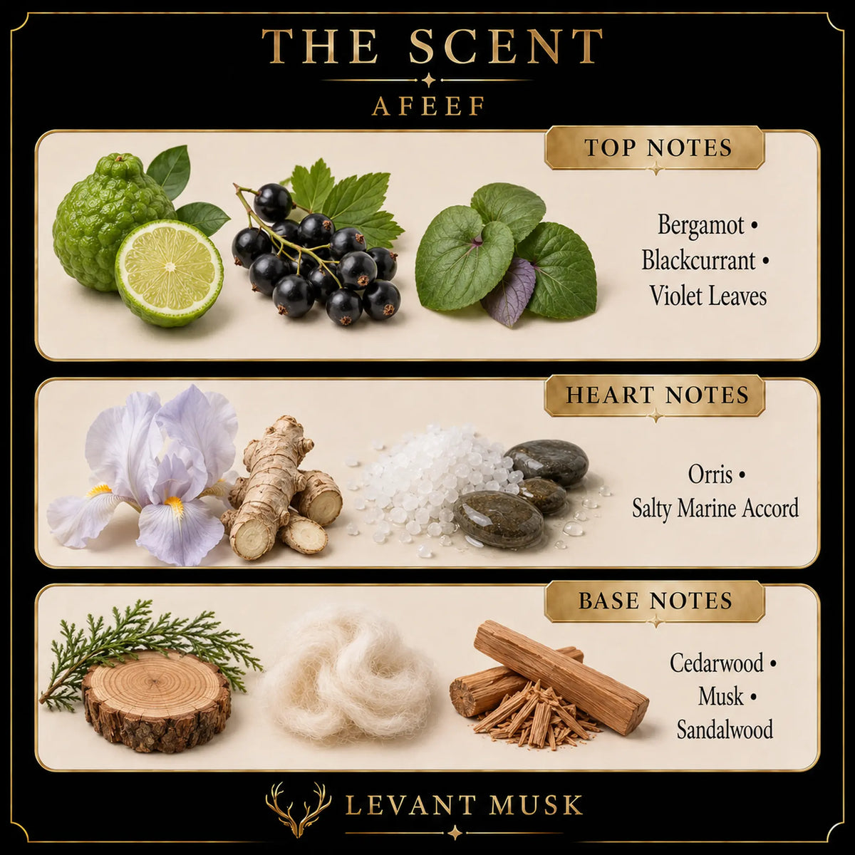 AFEEF scent notes: bergamot, blackcurrant and violet leaves; orris and salty marine accord; cedarwood, musk and sandalwood.