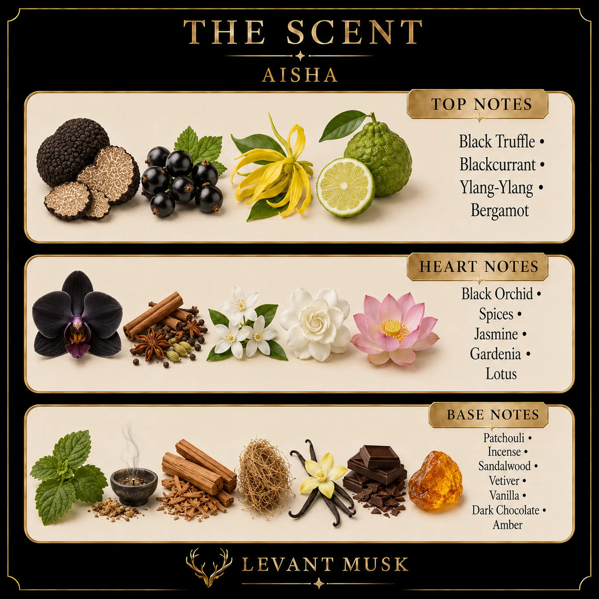 A branded scent note graphic for Aisha by Levant Musk, showing illustrated ingredients and labeled top, heart, and base notes on a black background. Visible text includes Black Truffle, Blackcurrant, Yang-Yang, Bergamot, Black Orchid, Jasmine, Lotus, Patchouli, Incense, Sandalwood, Vetiver, Vanilla, Dark Chocolate, and Amber.