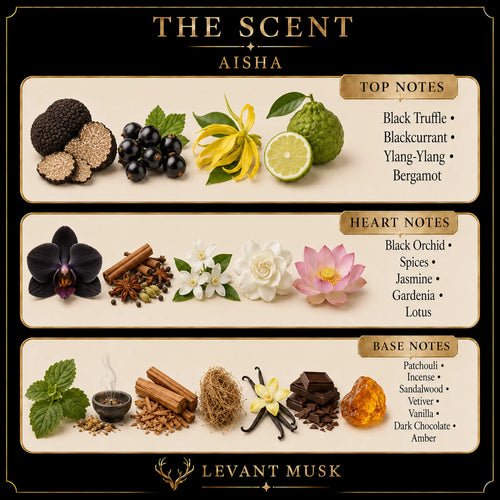 A branded scent note graphic for Aisha by Levant Musk, showing illustrated ingredients and labeled top, heart, and base notes on a black background. Visible text includes Black Truffle, Blackcurrant, Yang-Yang, Bergamot, Black Orchid, Jasmine, Lotus, Patchouli, Incense, Sandalwood, Vetiver, Vanilla, Dark Chocolate, and Amber.