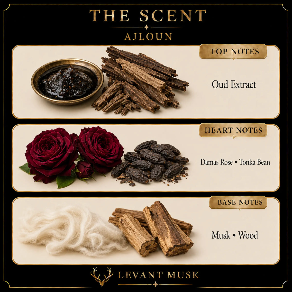 A branded scent note graphic for Levant Musk brand's 'Ajloun' eau de parfum labeled. The design has a black background with cream panels and gold accents, showing top, heart, and base notes with illustrated ingredients: oud extract, dark red roses and tonka beans, and musk wood and white fibers.