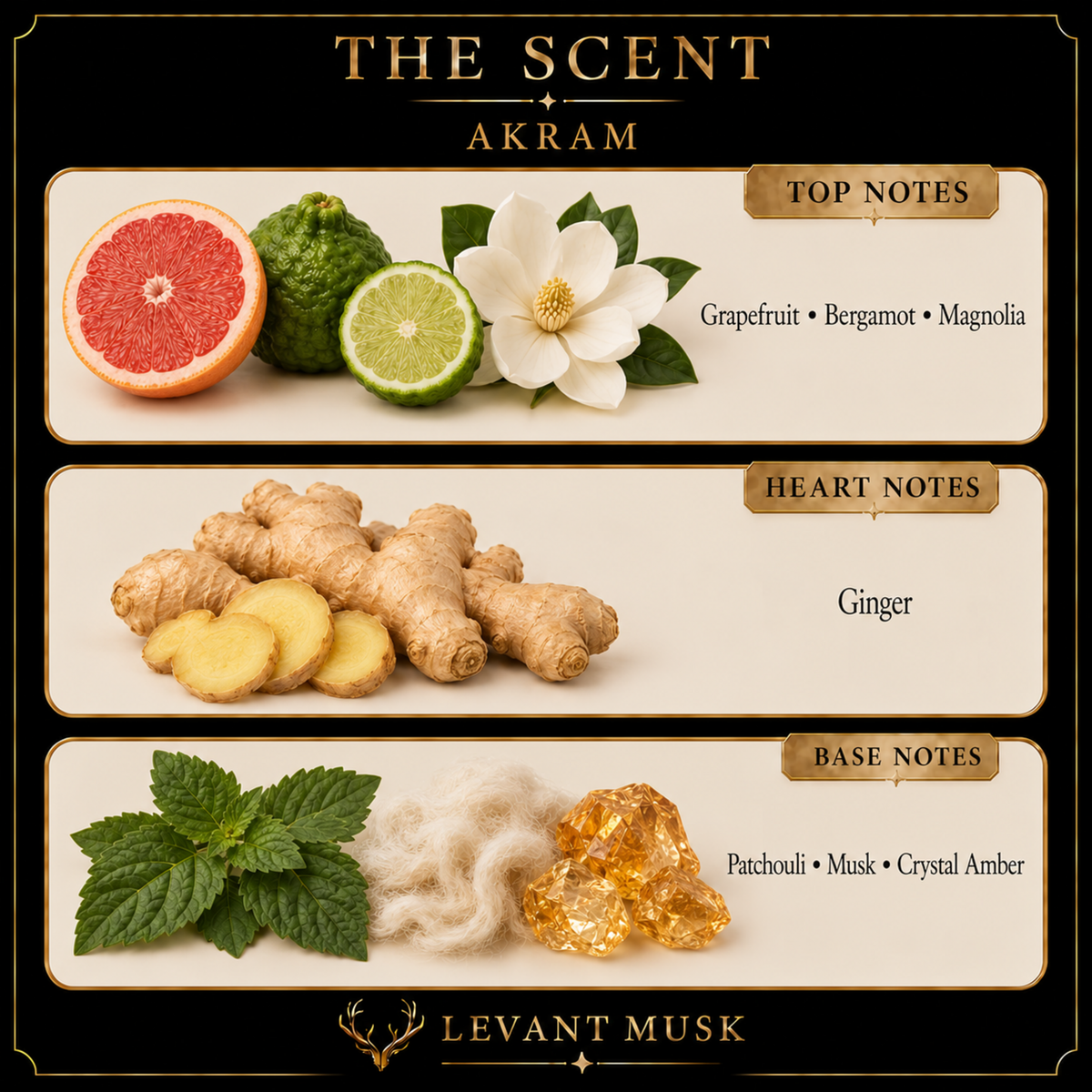 AKRAM by Levant Musk note card. Top: grapefruit, bergamot, magnolia. Heart: ginger. Base: patchouli, musk, crystal amber.