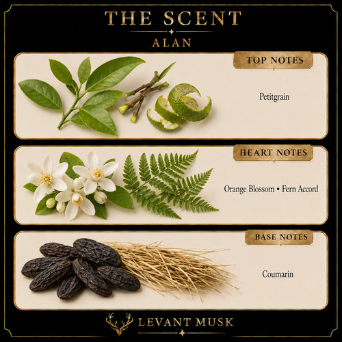 A branded scent profile graphic for ALAN by Levant Musk showing top, heart, and base notes with illustrated botanical ingredients: Petitgrain citrus leaves and peel, Orange Blossom and Fern Accord flowers and fern, and Coumarin dark brown pods and dried grass.