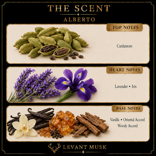 A branded scent note graphic for  Alberto eau de parfum by Levant Musk, showing illustrated ingredient panels for top notes (cardamom), heart notes (lavender and iris), and base notes (vanilla, amber, cinnamon, and wood) on a black background with cream panels.