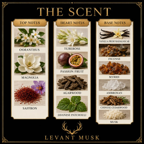 A branded scent profile graphic for Levant Musk scent ALEPPO, titled "THE SCENT," showing three vertical columns of fragrance notes with ingredient photos and labels: Top Notes (Osmanthus, Tuberoses, Magnolia, Saffron), Heart Notes (Tuberose, Passion Fruit, Agarwood, Javanese Patchouli), and Base Notes (Vanilla from Madagascar, Incense, Myrhl, Ambroxan, Chinese Cedarwood, Musk). The design uses a black background with gold border and typography, and cream panels for the notes.