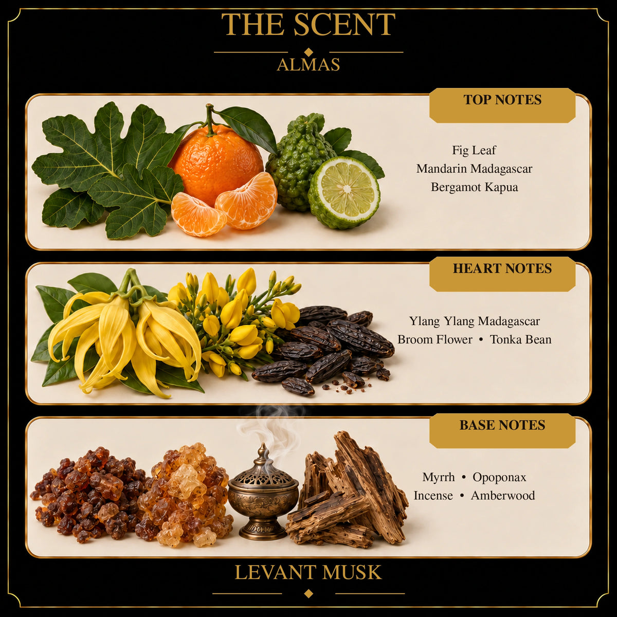A fragrance notes graphic for 'The Scent Almas' Levant Musk, showing three horizontal sections with illustrations of ingredients: fig leaf, mandarin, bergamot kapua, yellow broom flowers, dark brown dates, amberwood, and resin. The top and bottom sections are black with gold text, and the middle section is cream with gold text.