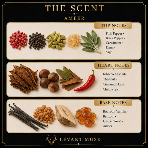 A branded scent notes graphic for Ameer by  Levant Musk, showing ingredient illustrations grouped by top, heart, and base notes on cream panels against a black background. Visible text includes Pink Pepper, Black Pepper, green pods, cardamom, emli, sage, tobacco absolute, chestnut, cinnamon leaf, chili pepper, bourbon vanilla, benzoin, guaiac wood, and amber.