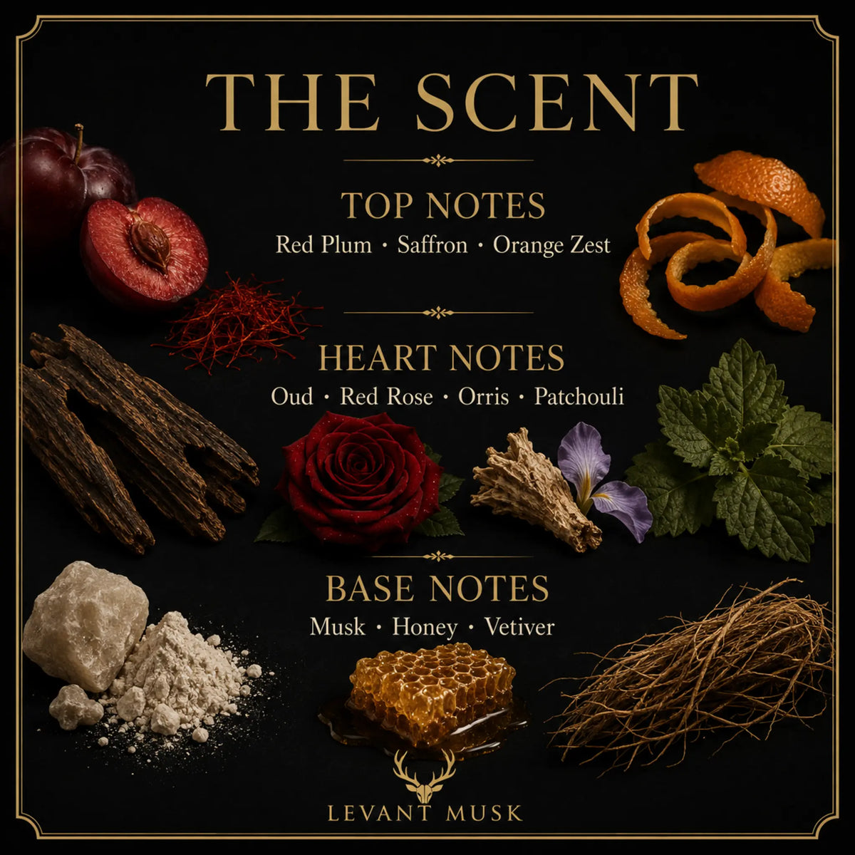 A black square graphic with gold text reading 'THE SCENT' and fragrance notes for  AMENA eau de parfum by Levant Musk: top notes including red plum, saffron, and orange zest; heart notes including oud, red rose, orris, and patchouli; base notes including musk, honey, and vetiver, with corresponding botanical and spice illustrations around the text.