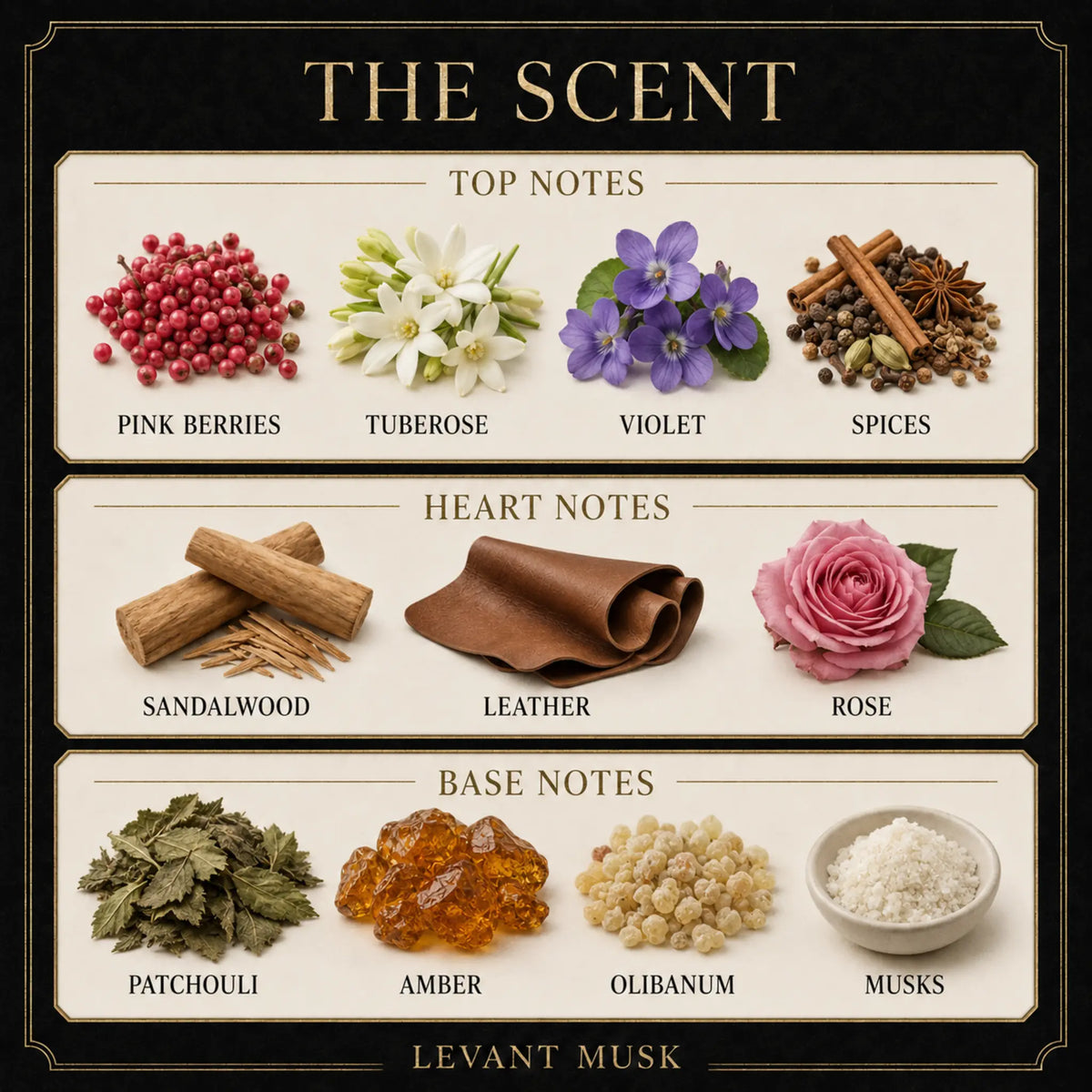 A stylized scent profile graphic titled "THE SCENT" for Levant Musk, eau de parfum ANDY showing top, heart, and base notes with illustrated ingredients: pink berries, tuberose, violet, spices, sandalwood, leather, rose, patchouli, amber, olibanum, and musks on cream panels over a dark background.
