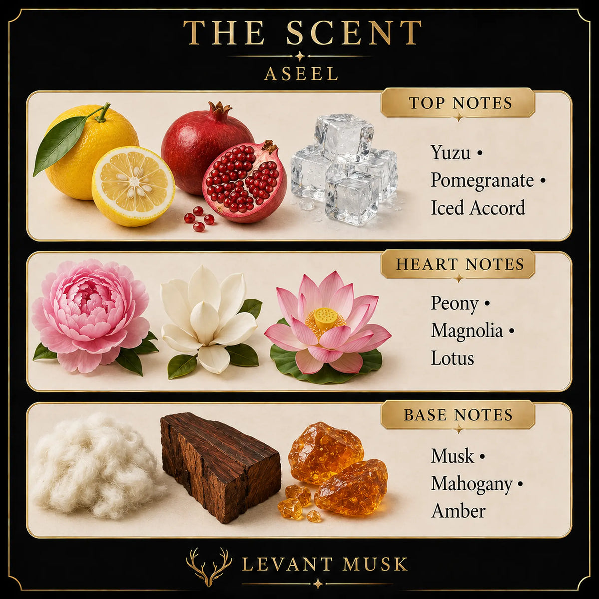 A branded scent profile graphic for Aseel by Levant Musk, showing top, heart, and base notes with corresponding scent imagery including a lemon, pomegranate, ice cubes, pink and white flowers, cotton, and amber pieces on a cream and black layout.