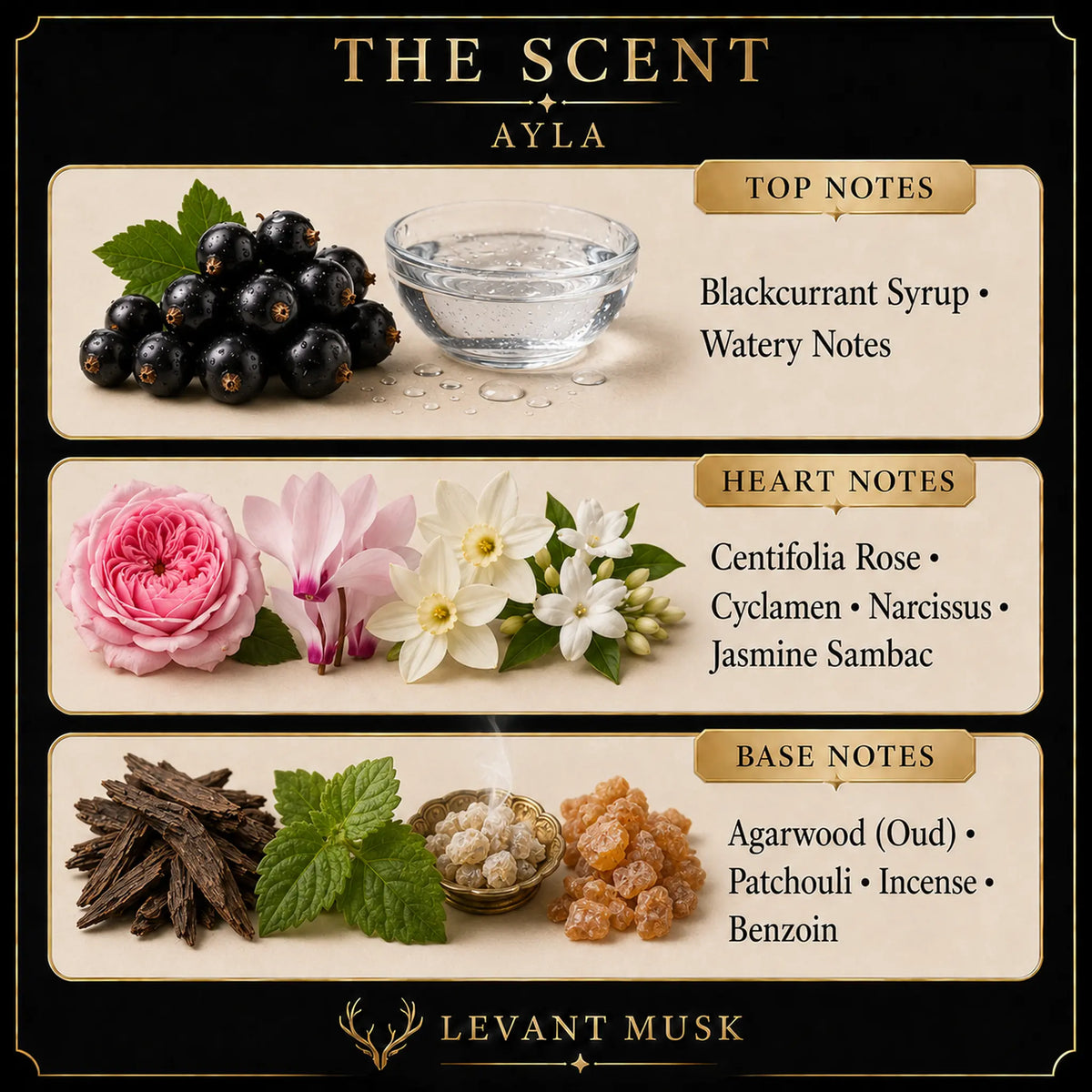A fragrance notes graphic for Ayla by Levant Musk, Monroe, LA, showing blackcurrant, pink and white flowers, wood, and spices with labeled top and base notes on a black and beige layout.