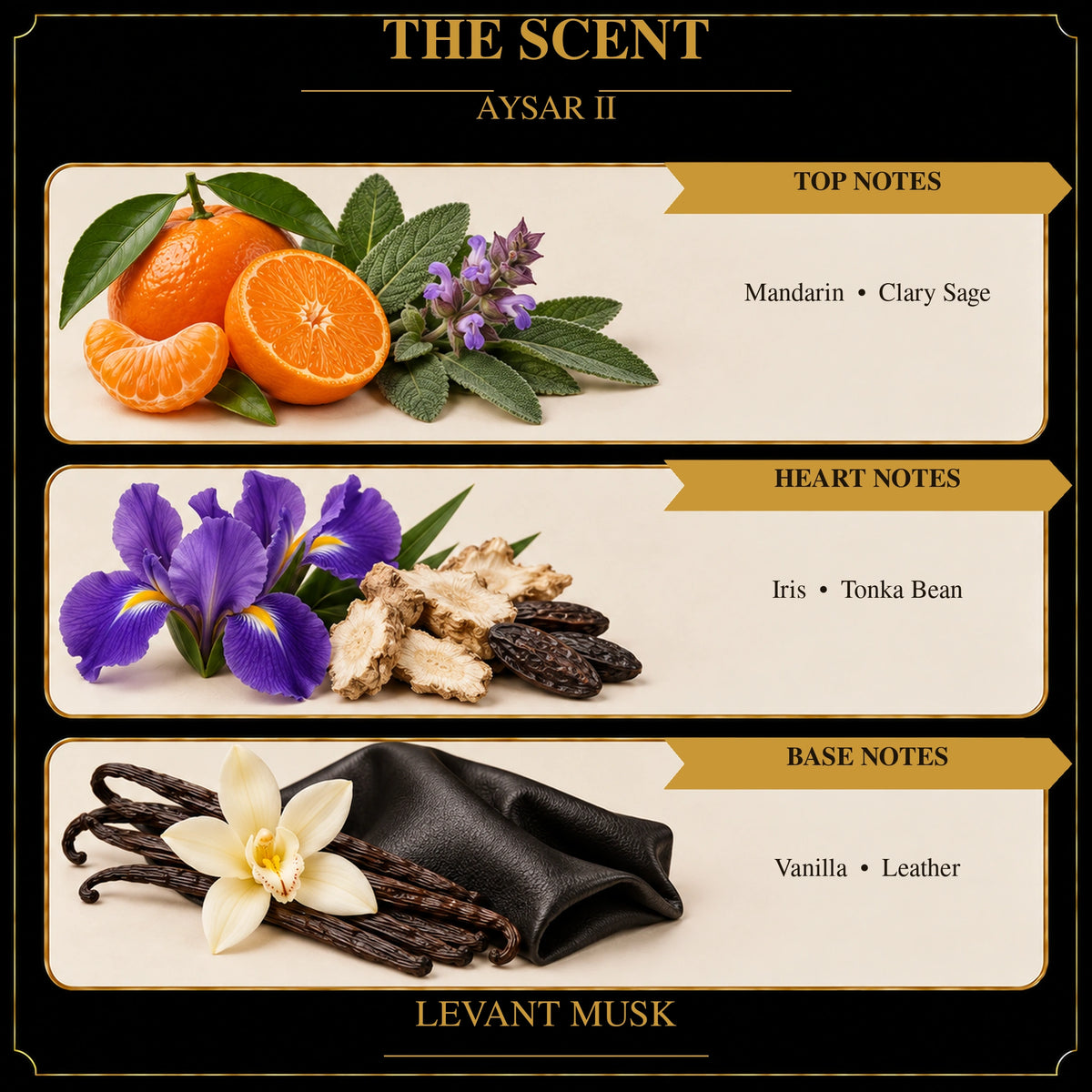 AYSAR II scent notes: top—mandarin and clary sage; heart—iris and tonka bean; base—vanilla and leather.