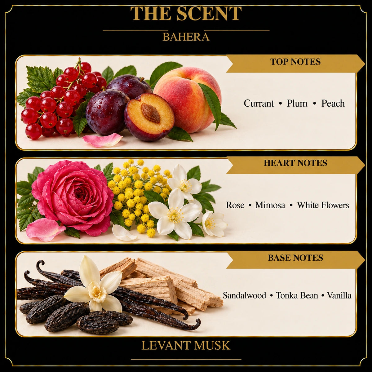 BAHERA scent notes: currant, plum and peach at the top; rose, mimosa and white flowers in the heart; sandalwood, tonka bean and vanilla at the base.