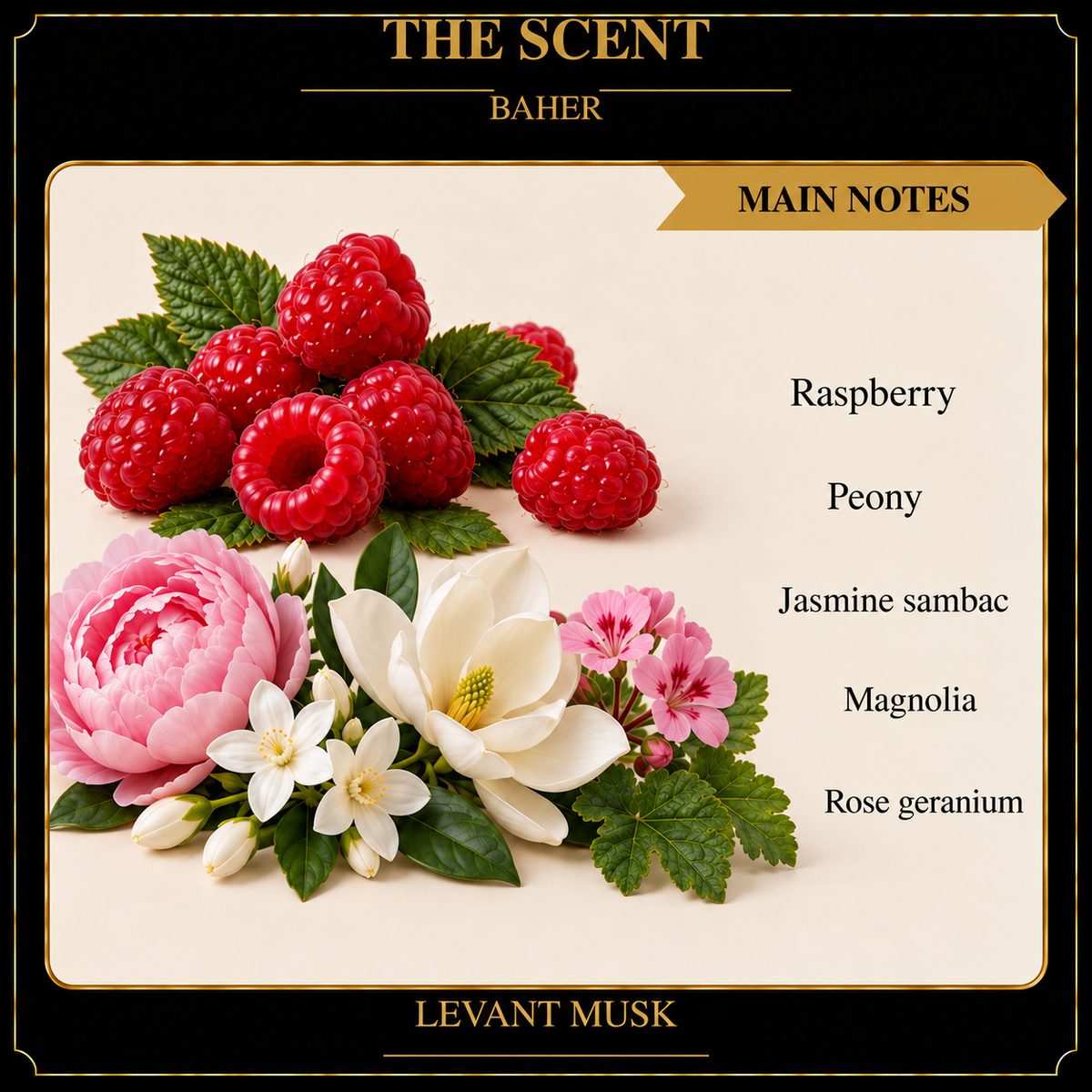 BAHER by Levant Musk corrected notes card