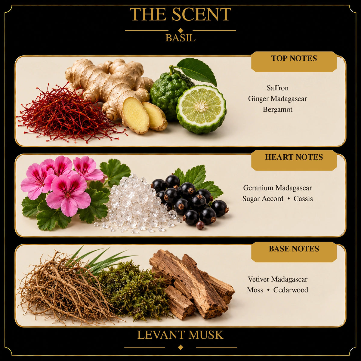 A branded scent note graphic for Basil Levant Musk. The design has a dark charcoal background with gold borders and the title 'THE SCENT BASIL' at the top.