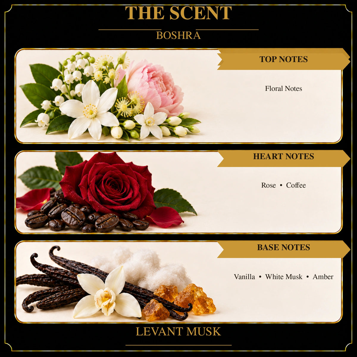 BOSHRA fragrance notes: floral notes; rose and coffee; amber, vanilla and white musk.
