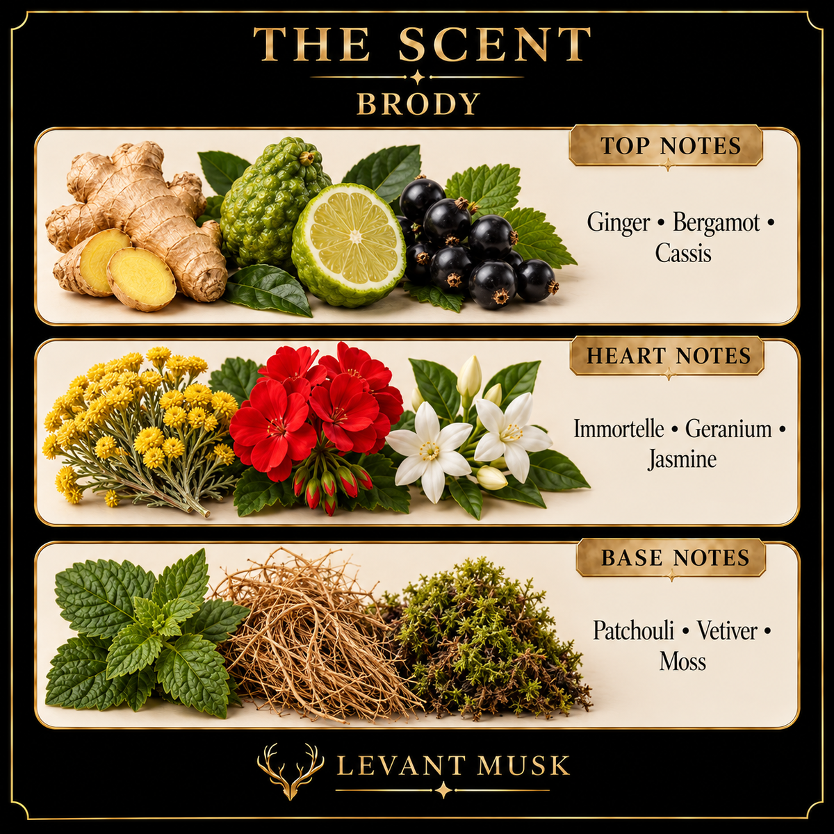 BRODY by Levant Musk Notes Card