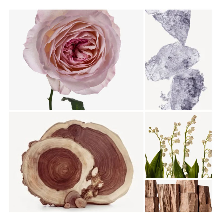 Dalal fragrance styled with notes of apple, cedarwood, and amber