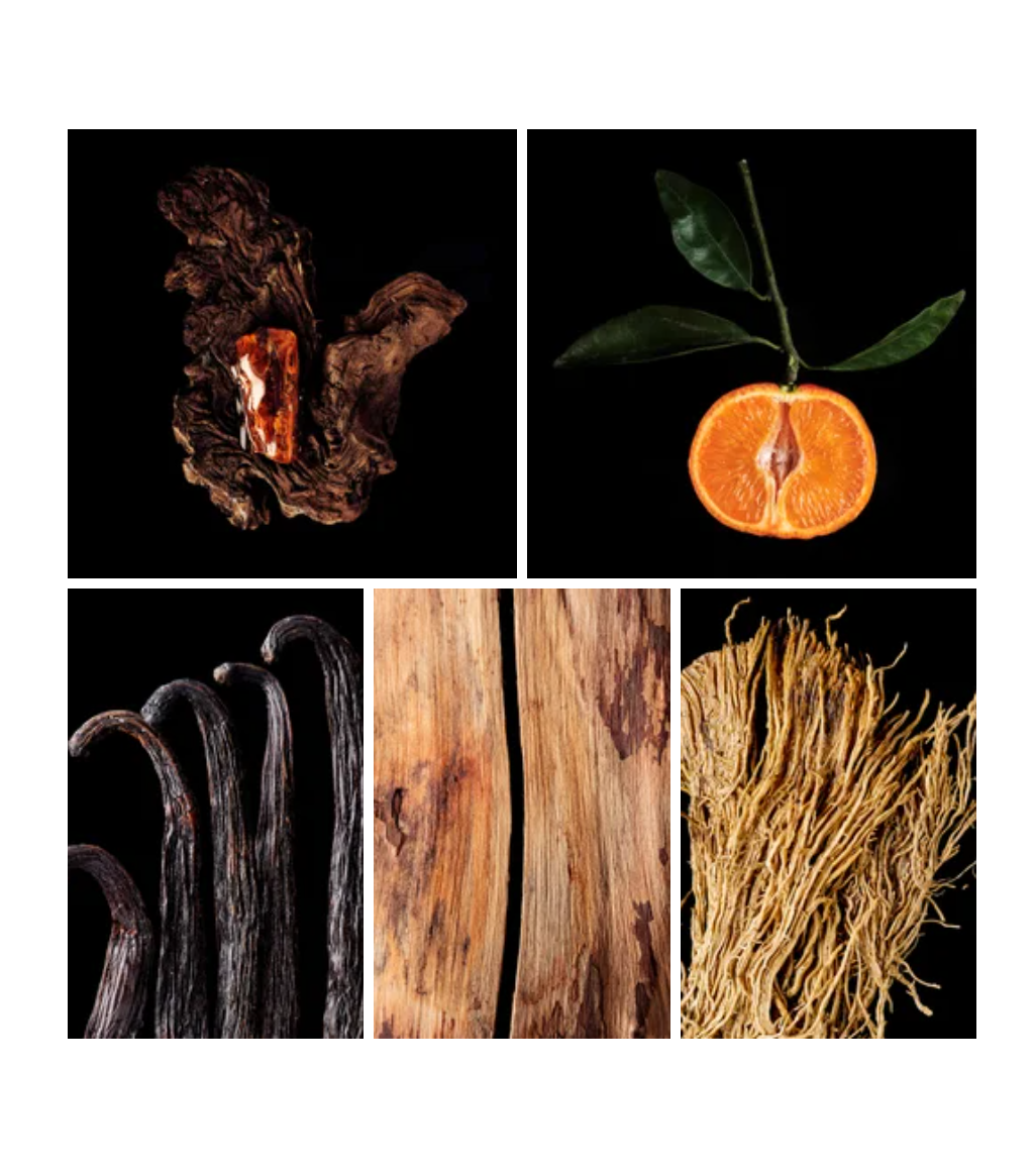 Dia fragrance styled with notes of italian lemon, geranium, and cedarwood