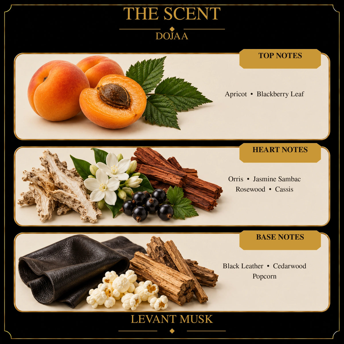 A fragrance notes graphic for DOJAA by Levant Musk  showing three horizontal panels: Top Notes with apricots and blackberry leaf, Heart Notes with roots, white flowers, berries, and cinnamon sticks, and Base Notes with black leather, wood, and popcorn, labeled as Levant Musk.