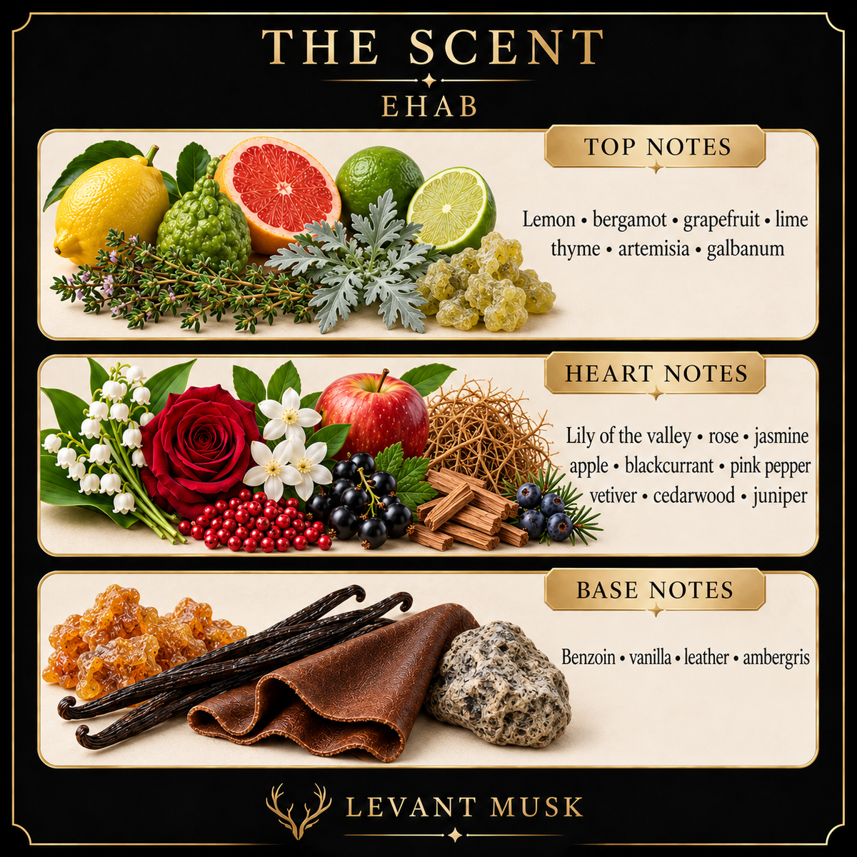EHAB scent notes: top lemon, bergamot, grapefruit, lime, thyme, artemisia and galbanum; heart lily of the valley, rose, jasmine, apple, blackcurrant, pink pepper, vetiver, cedarwood and juniper; base benzoin, vanilla, leather and ambergris.