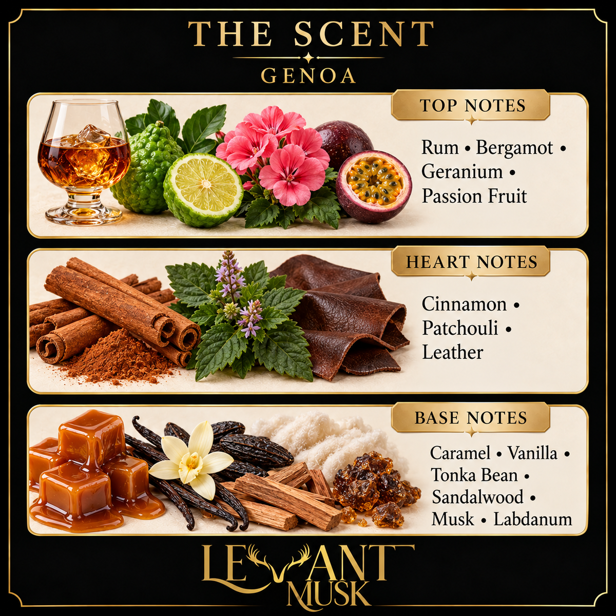 GENOA scent notes. top: Rum, Bergamot, Geranium, Passion Fruit; heart: Cinnamon, Patchouli, Leather; base: Caramel, Vanilla, Tonka Bean, Sandalwood, Musk, Labdanum