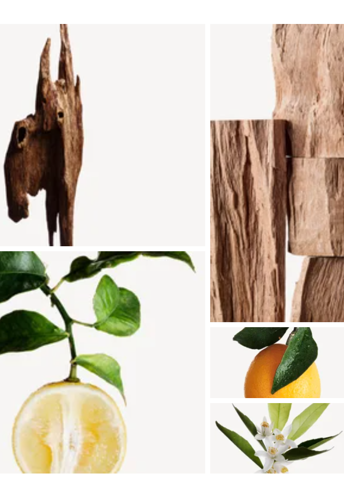 Gada fragrance styled with notes of bergamot, cedarwood, and oud