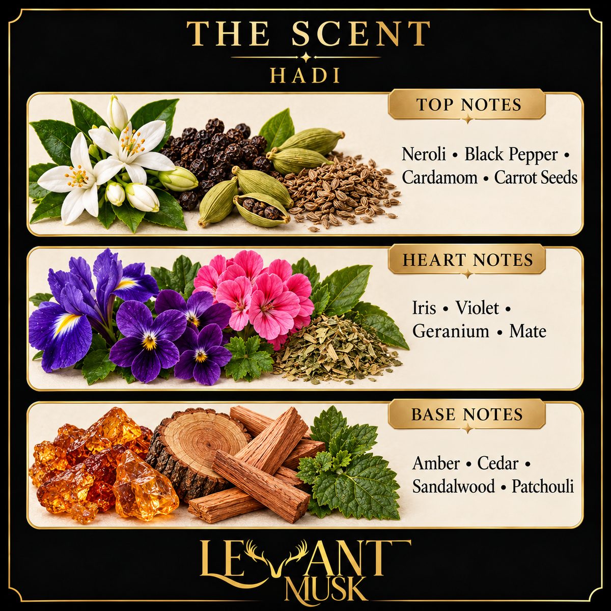 HADI fragrance notes. Top: Neroli; black pepper; cardamom; carrot seeds. Heart: Iris; violet; geranium; mate. Base: Amber; cedar; sandalwood; patchouli.