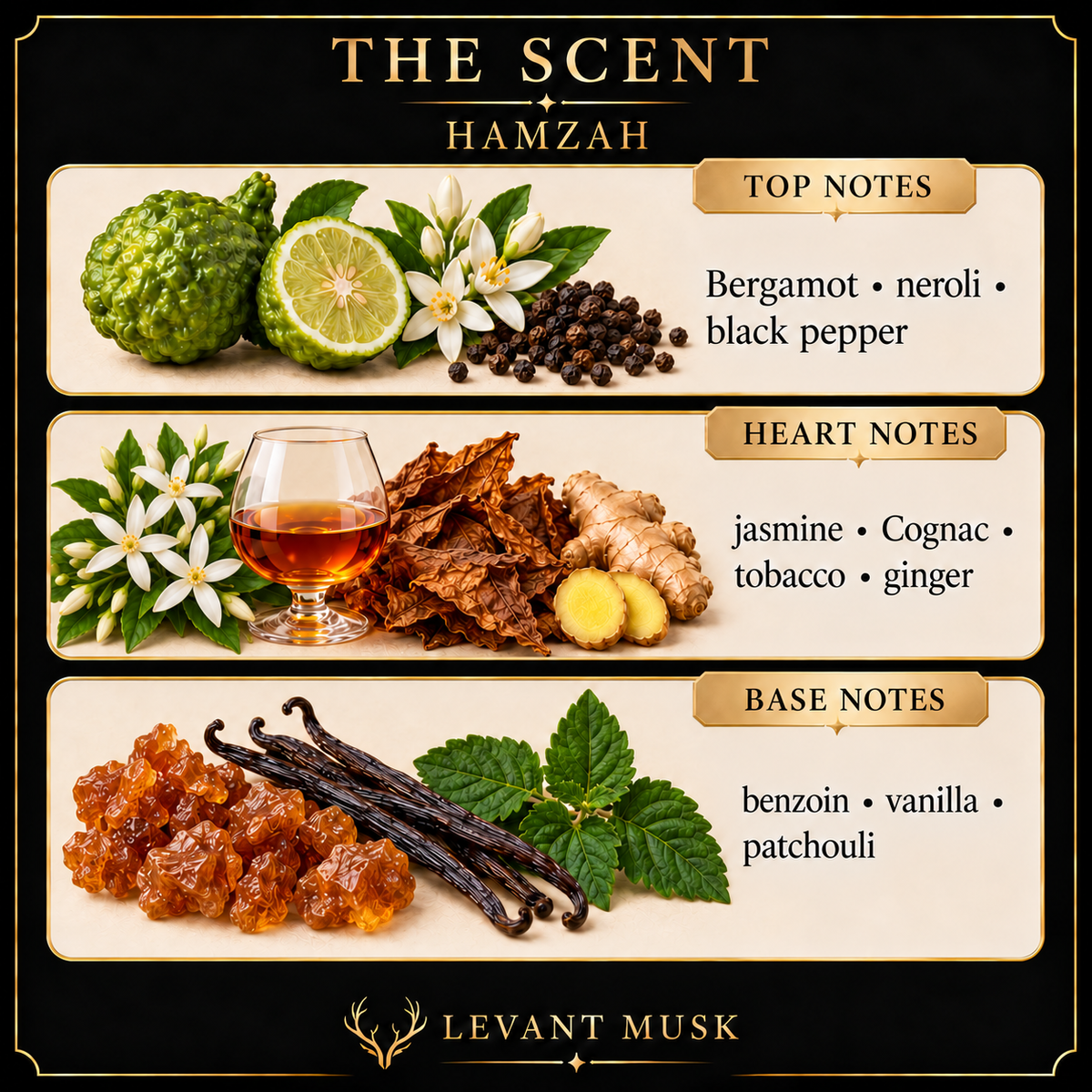 HAMZAH scent notes. Top: Bergamot; neroli; black pepper. Heart: jasmine; Cognac; tobacco; ginger. Base: benzoin; vanilla; patchouli.