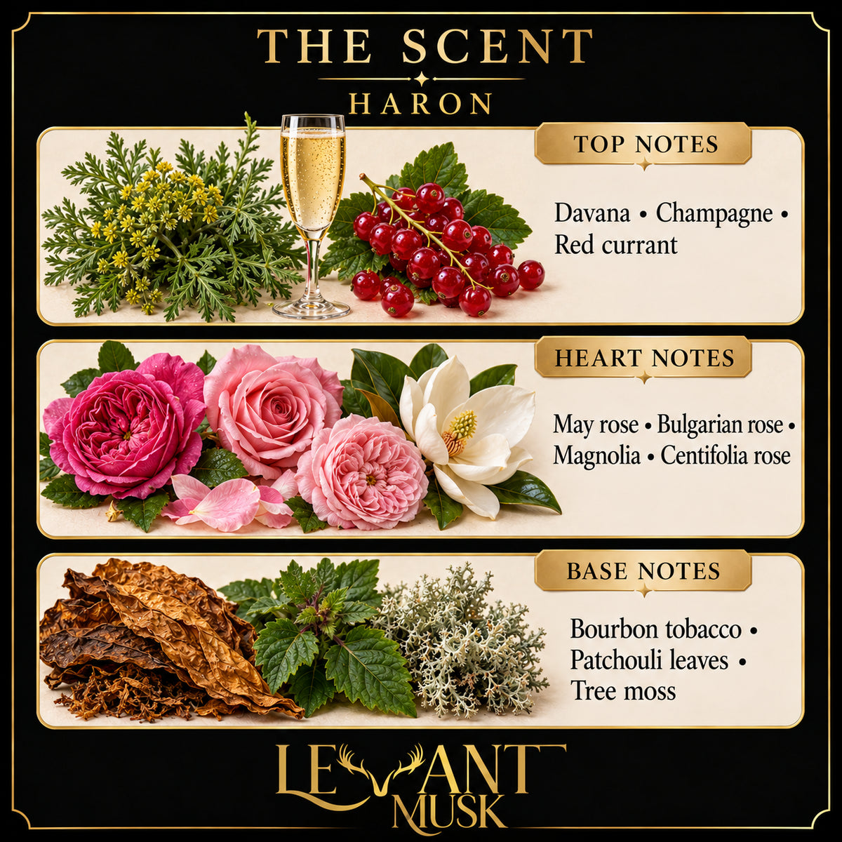 HARON by Levant Musk: Top, heart and base fragrance notes