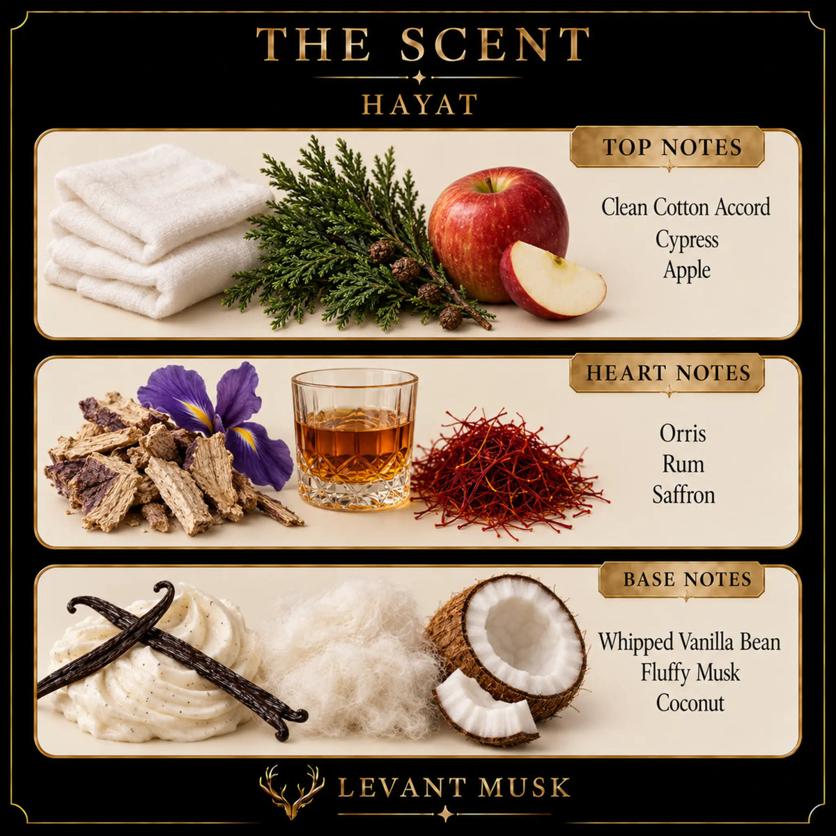 A branded fragrance notes graphic for The Scent Hayat by Levant Musk, showing three horizontal panels with scent ingredients and text: top notes including clean cotton accord, cypress, and apple; heart notes including orris, rum, and saffron; base notes including whipped vanilla bean, fluffy musk, and coconut.
