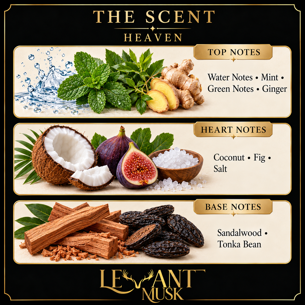 HEAVEN fragrance notes. Top: Water notes; mint; green notes; ginger. Heart: Coconut; fig; salt. Base: Sandalwood; tonka bean.